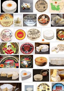 Camembert de Normandie (aoc-aop)